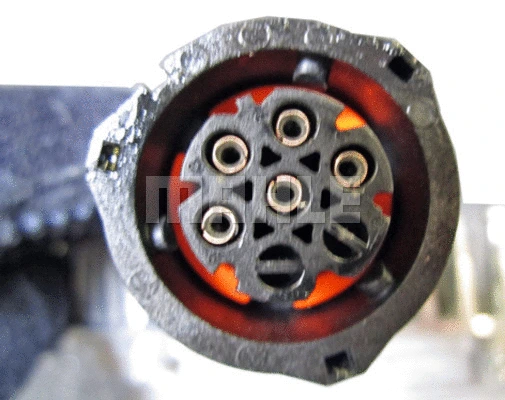 Clutch, radiator fan