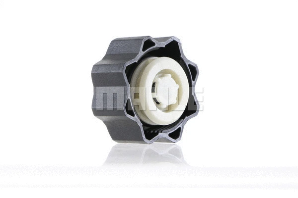 Cap, coolant tank