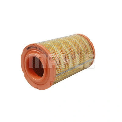 Air Filter (LX 3818)