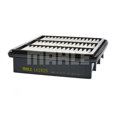 Air Filter (LX 2825)