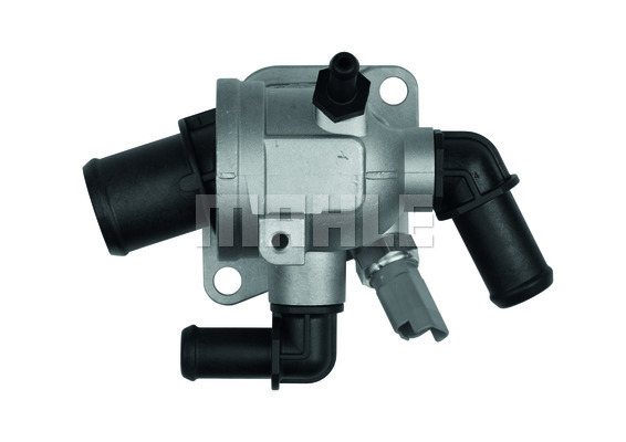Thermostat, coolant