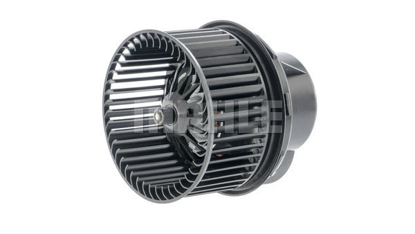 Interior Blower