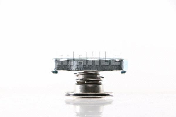 Cap, coolant tank