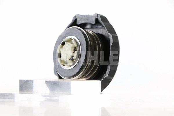 Cap, coolant tank