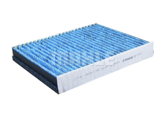 Filter, cabin air (LAO 875)