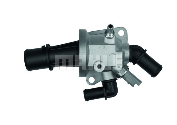 Thermostat, coolant