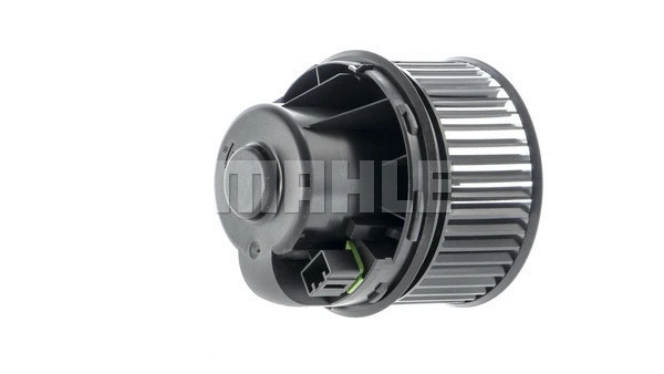 Interior Blower