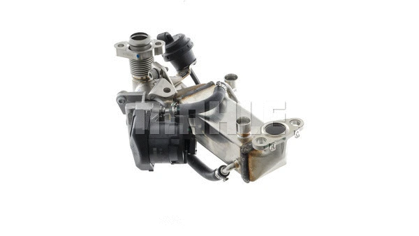 Cooler, exhaust gas recirculation