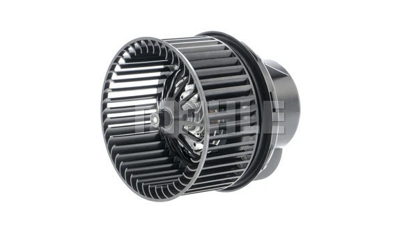 Interior Blower