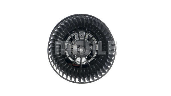 Interior Blower