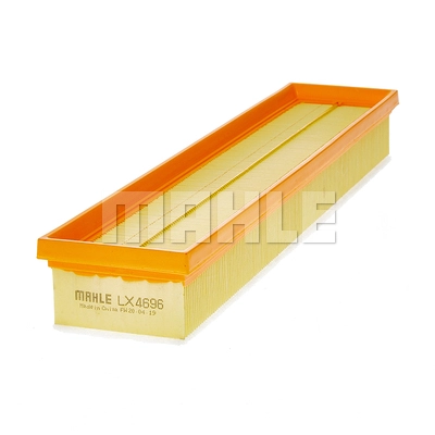 Air Filter (LX 4696)