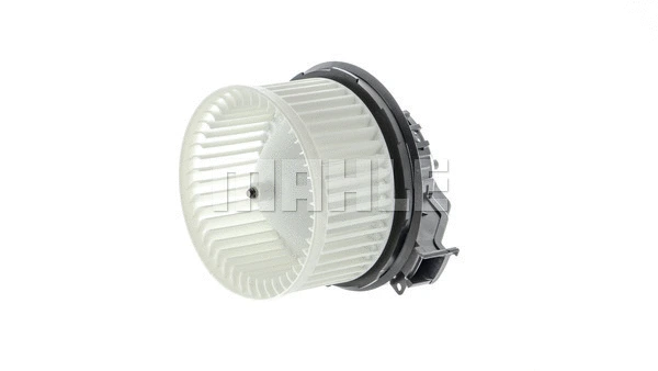 Interior Blower