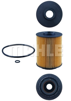 Oil Filter