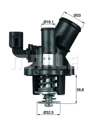 Thermostat, coolant (TM 17 98)