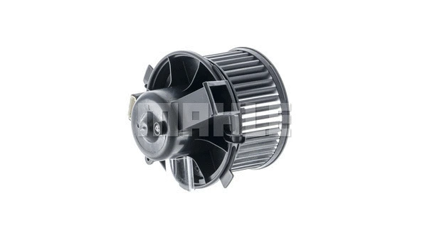 Interior Blower