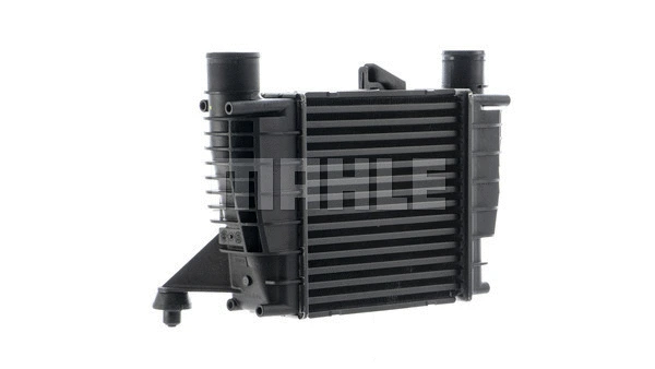 Charge Air Cooler