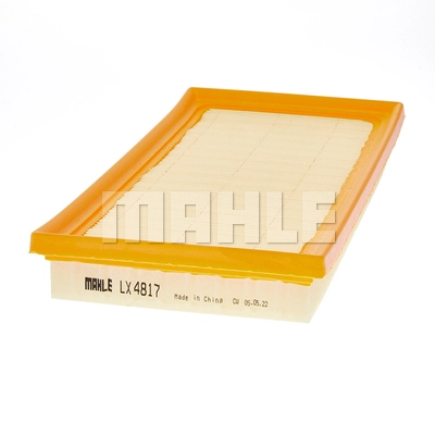 Air Filter (LX 4817)