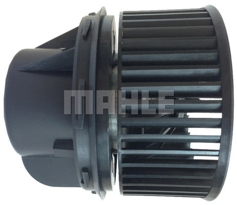 Interior Blower