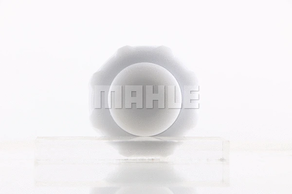 Cap, coolant tank