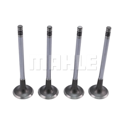 Exhaust Valve (VE0701460)