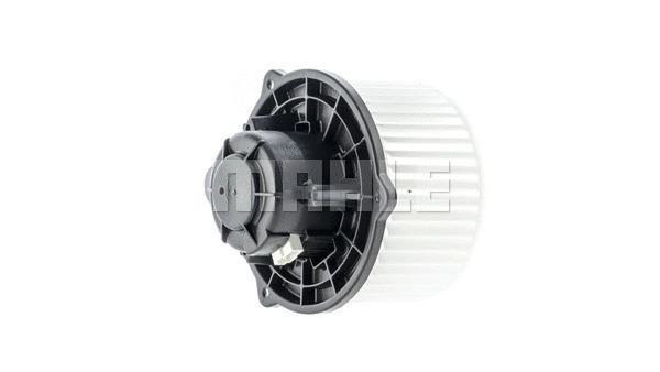 Interior Blower