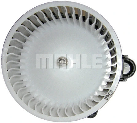 Interior Blower