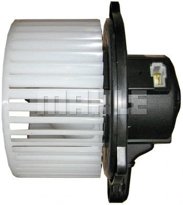 Interior Blower
