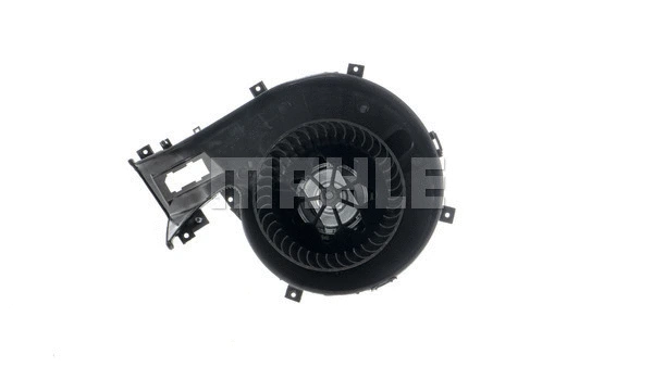 Interior Blower