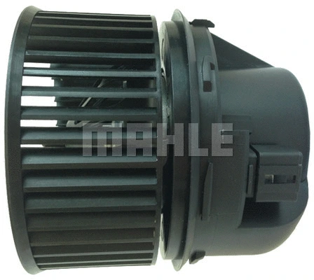 Interior Blower