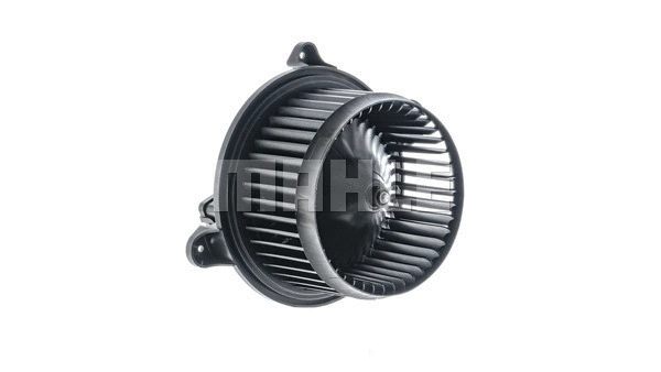 Interior Blower