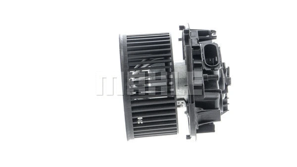 Interior Blower
