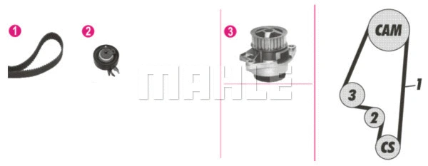 Water Pump & Timing Belt Kit (CPK 63 000P)