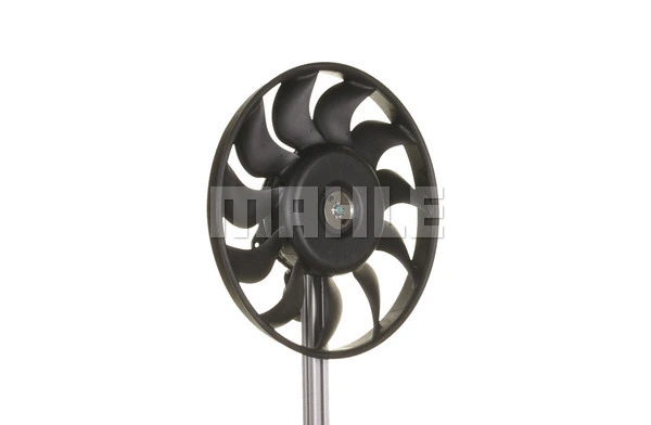 Fan, engine cooling