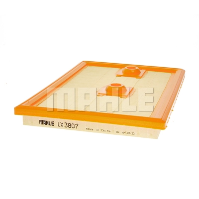 Air Filter (LX 3807)