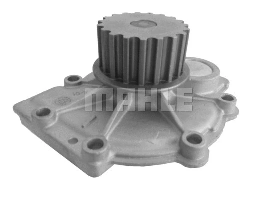 Water Pump, engine cooling (CP 36 000S)