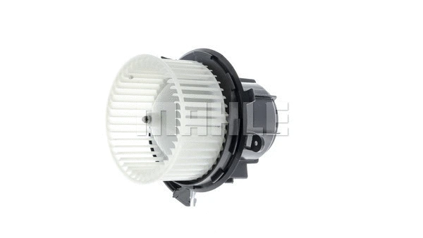 Interior Blower