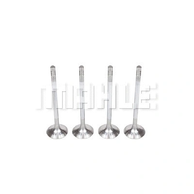 Intake Valve (VA0250168)