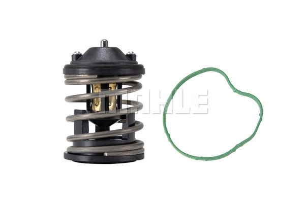 Thermostat, coolant (TX 163 87D2)