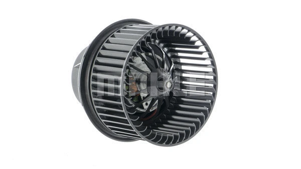 Interior Blower