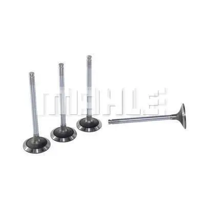 Intake Valve