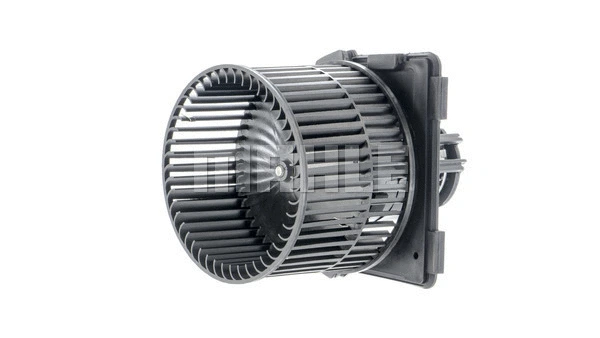 Interior Blower