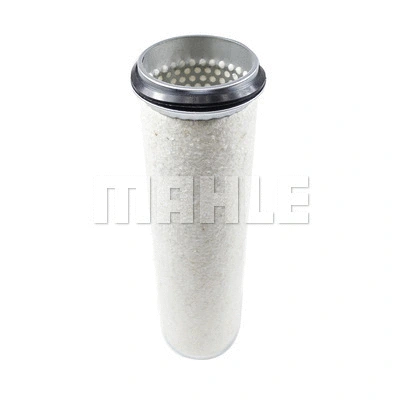 Secondary Air Filter