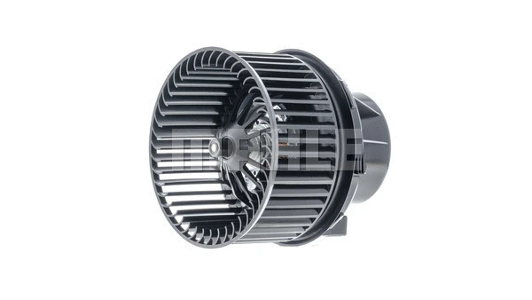 Interior Blower
