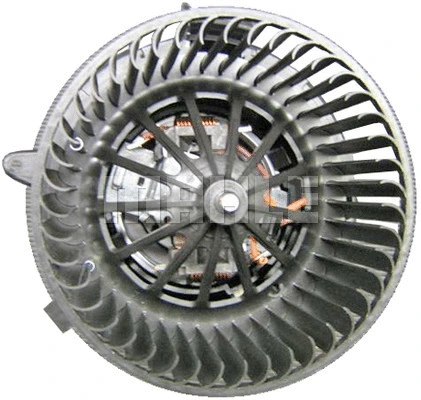 Interior Blower