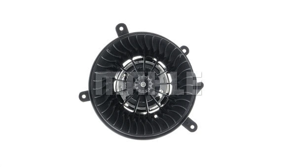 Interior Blower
