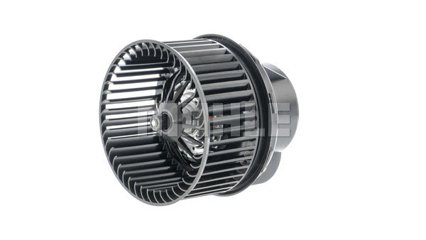 Interior Blower