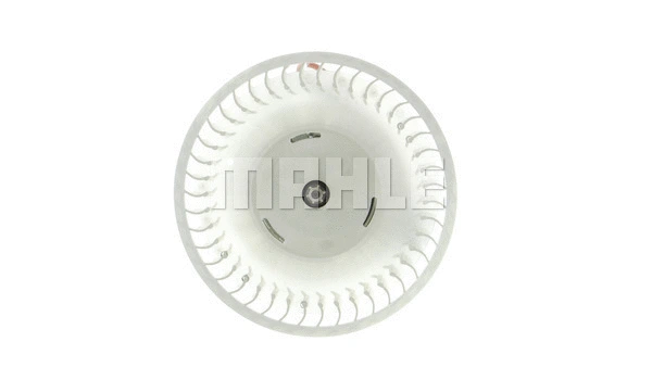 Interior Blower