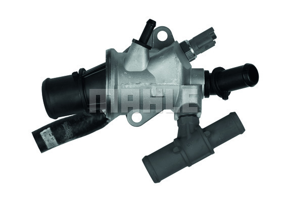 Thermostat, coolant