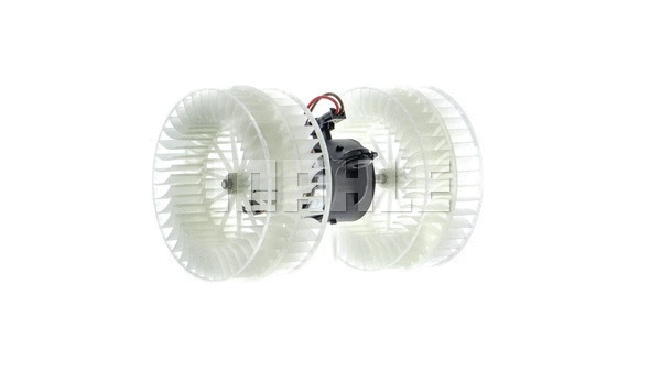 Interior Blower