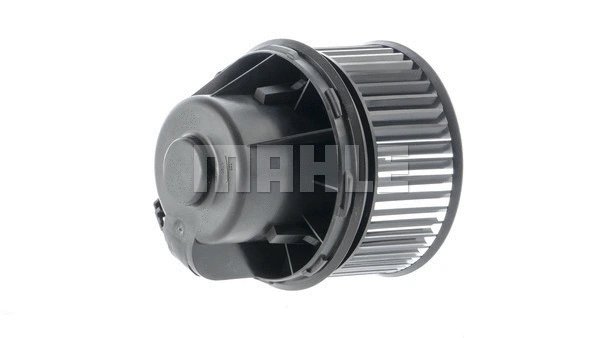 Interior Blower